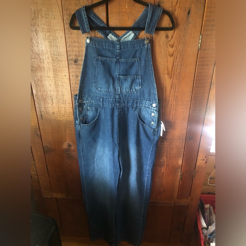 Free People denim overalls